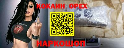 apvp Бийск