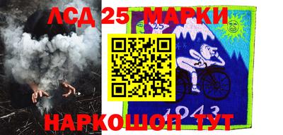 apvp Бийск
