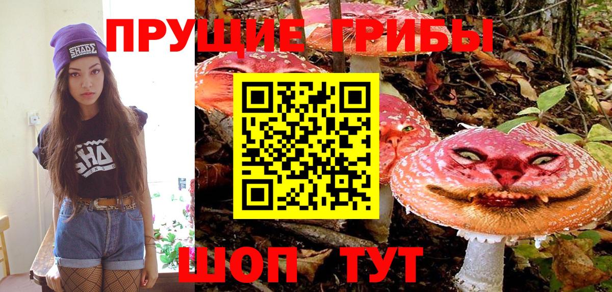 Псилоцибиновые грибы Cubensis Киров