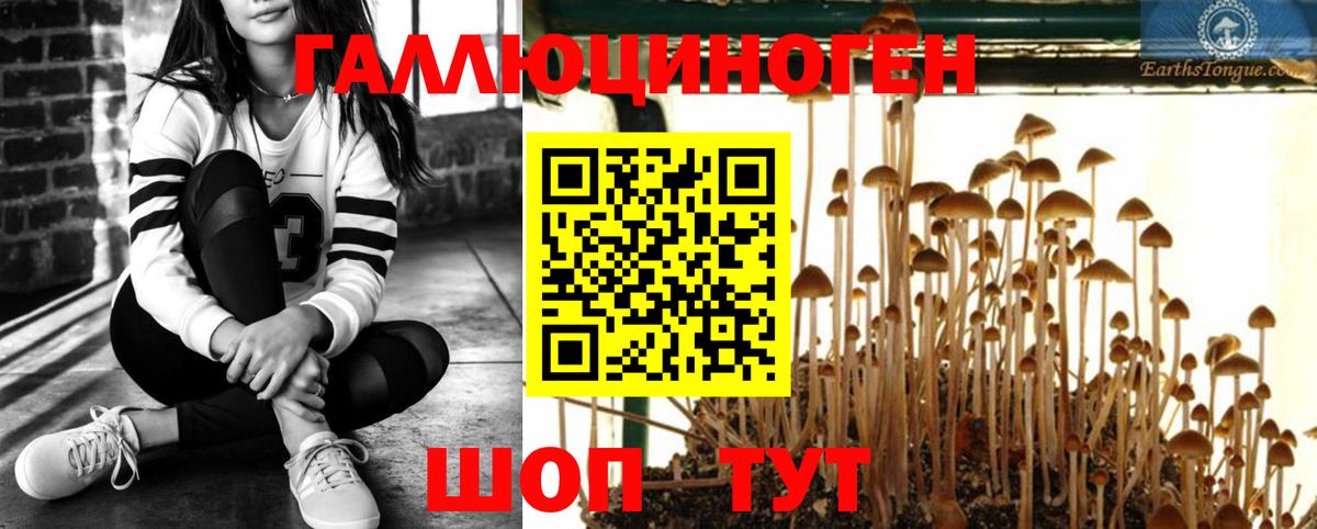 Псилоцибиновые грибы Psilocybine cubensis  Вход с VPN  Киров 